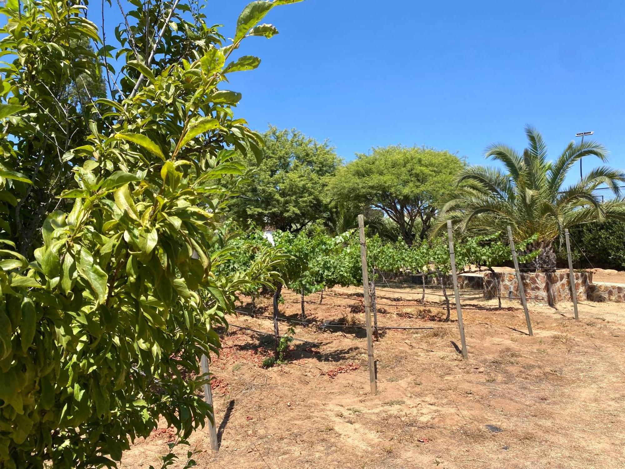 Готель Tierra Mia Hacienda Ruta Del Vino Вальє-де-Гуадалупе Екстер'єр фото