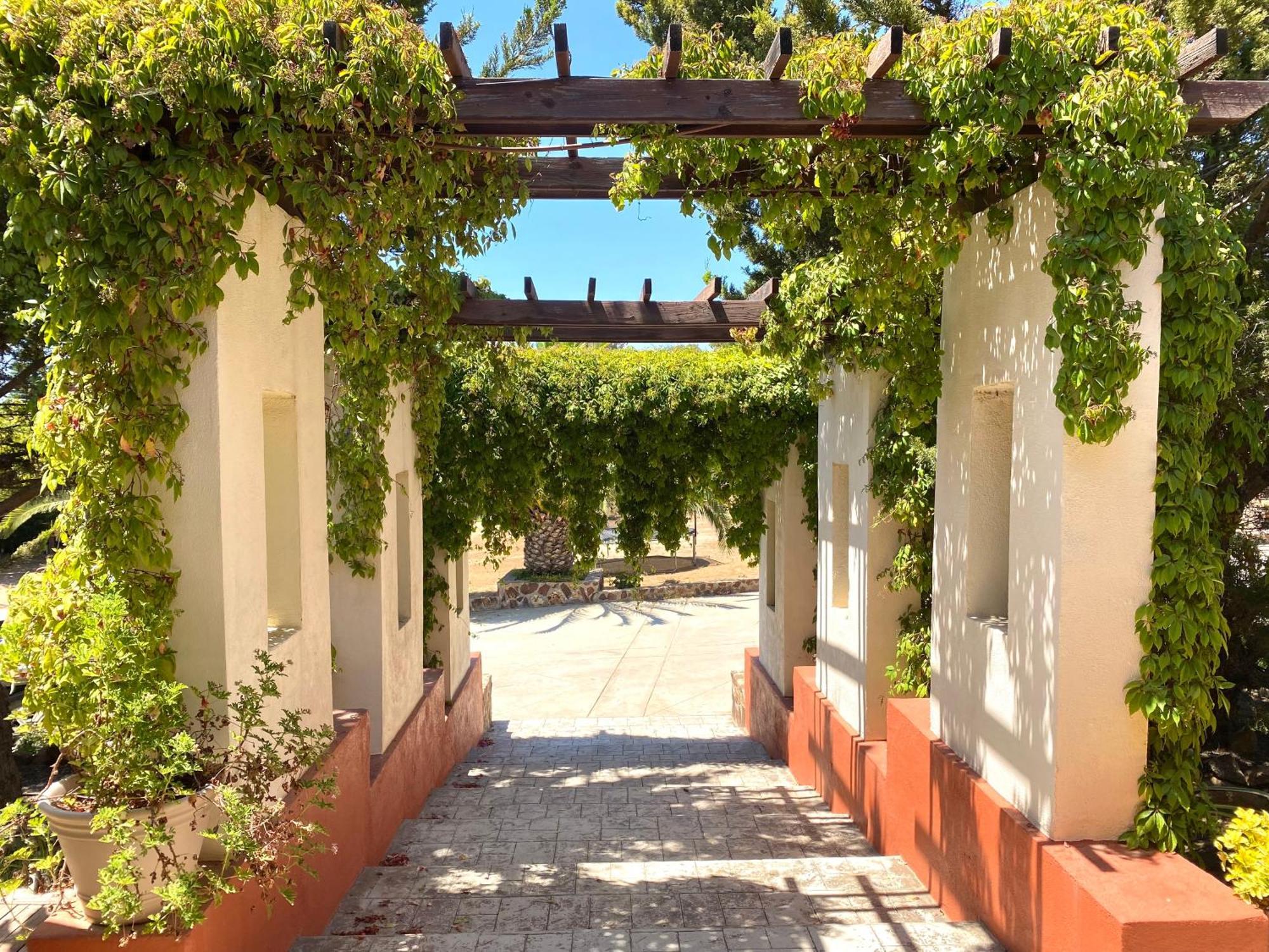 Готель Tierra Mia Hacienda Ruta Del Vino Вальє-де-Гуадалупе Екстер'єр фото